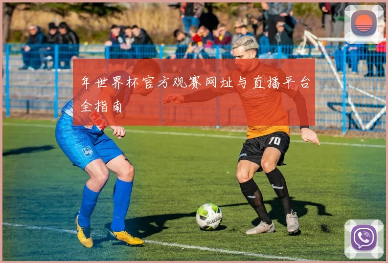 年世界杯官方观赛网址与直播平台全指南