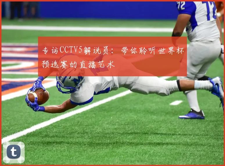专访CCTV5解说员：带你聆听世界杯预选赛的直播艺术