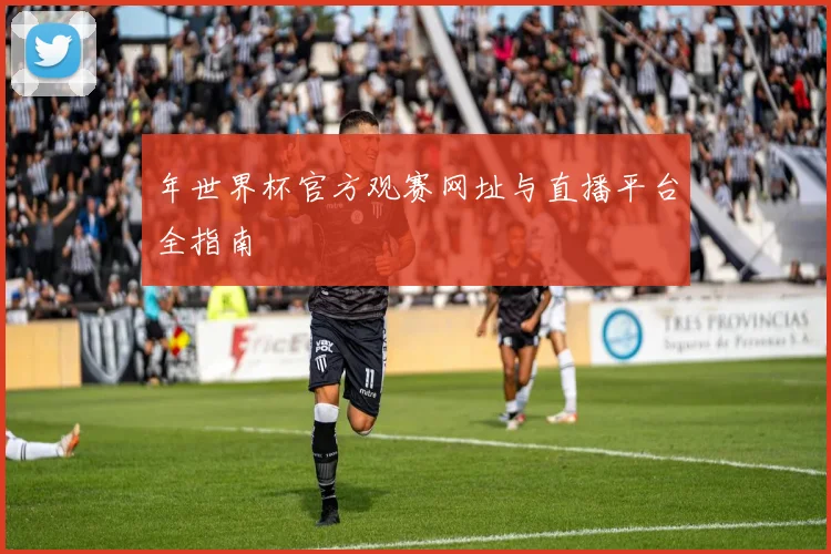 年世界杯官方观赛网址与直播平台全指南
